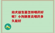 幼犬益生菌怎样喂药好呢？小狗肠胃炎喂药多久能好