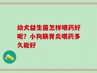 幼犬益生菌怎样喂药好呢？小狗肠胃炎喂药多久能好