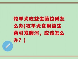 牧羊犬吃益生菌拉稀怎么办(牧羊犬食用益生菌引发腹泻，应该怎么办？)