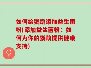 如何给鹦鹉添加益生菌粉(添加益生菌粉：如何为你的鹦鹉提供健康支持)