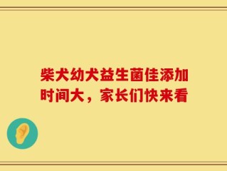 柴犬幼犬益生菌佳添加时间大，家长们快来看