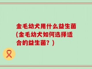 金毛幼犬用什么益生菌(金毛幼犬如何选择适合的益生菌？)