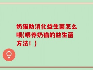 奶猫助消化益生菌怎么喂(喂养奶猫的益生菌方法！)