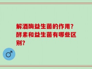 解酒酶益生菌的作用？酵素和益生菌有哪些区别？