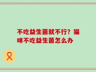 不吃益生菌就不行？猫咪不吃益生菌怎么办