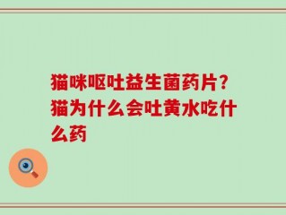 猫咪呕吐益生菌药片？猫为什么会吐黄水吃什么药