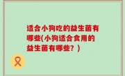 适合小狗吃的益生菌有哪些(小狗适合食用的益生菌有哪些？)