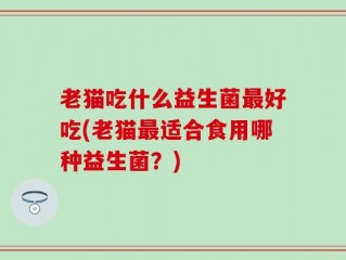 老猫吃什么益生菌最好吃(老猫最适合食用哪种益生菌？)