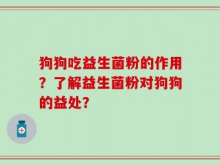 狗狗吃益生菌粉的作用？了解益生菌粉对狗狗的益处？
