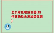怎么给鱼喂益生菌(如何正确给鱼添加益生菌)