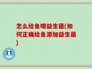 怎么给鱼喂益生菌(如何正确给鱼添加益生菌)