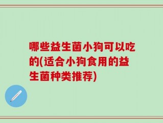 哪些益生菌小狗可以吃的(适合小狗食用的益生菌种类推荐)