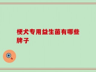 梗犬专用益生菌有哪些牌子