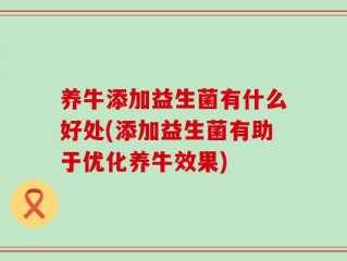 养牛添加益生菌有什么好处(添加益生菌有助于优化养牛效果)