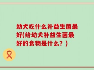 幼犬吃什么补益生菌最好(给幼犬补益生菌最好的食物是什么？)