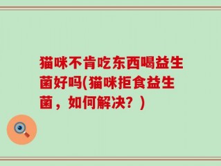 猫咪不肯吃东西喝益生菌好吗(猫咪拒食益生菌，如何解决？)