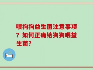 喂狗狗益生菌注意事项？如何正确给狗狗喂益生菌？