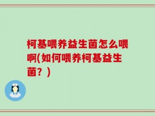 柯基喂养益生菌怎么喂啊(如何喂养柯基益生菌？)
