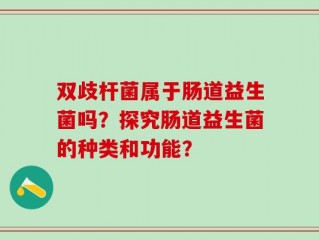 双歧杆菌属于肠道益生菌吗？探究肠道益生菌的种类和功能？