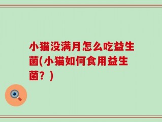 小猫没满月怎么吃益生菌(小猫如何食用益生菌？)