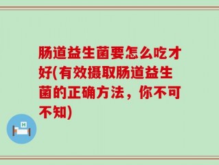 肠道益生菌要怎么吃才好(有效摄取肠道益生菌的正确方法，你不可不知)