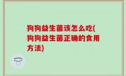 狗狗益生菌该怎么吃(狗狗益生菌正确的食用方法)