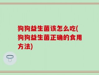 狗狗益生菌该怎么吃(狗狗益生菌正确的食用方法)