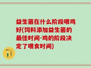 益生菌在什么阶段喂鸡好(饲料添加益生菌的最佳时间-鸡的阶段决定了喂食时间)