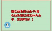 猫吃益生菌拉虫子(猫吃益生菌后排出体内虫子，亲测有效！)