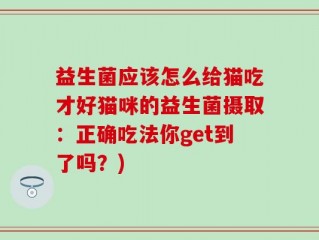 益生菌应该怎么给猫吃才好猫咪的益生菌摄取：正确吃法你get到了吗？)