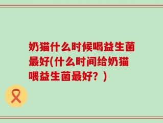 奶猫什么时候喝益生菌最好(什么时间给奶猫喂益生菌最好？)