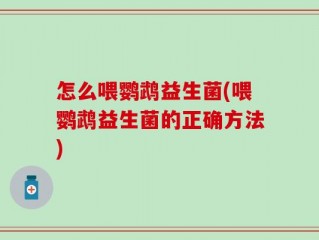 怎么喂鹦鹉益生菌(喂鹦鹉益生菌的正确方法)