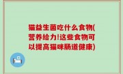 猫益生菌吃什么食物(营养给力!这些食物可以提高猫咪肠道健康)