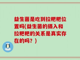 益生菌是吃到拉粑粑位置吗(益生菌的摄入和拉粑粑的关系是真实存在的吗？)