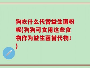 狗吃什么代替益生菌粉呢(狗狗可食用这些食物作为益生菌替代物！)