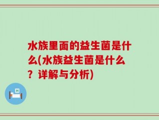 水族里面的益生菌是什么(水族益生菌是什么？详解与分析)