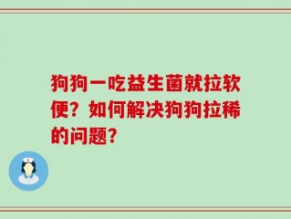 狗狗一吃益生菌就拉软便？如何解决狗狗拉稀的问题？