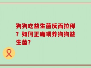 狗狗吃益生菌反而拉稀？如何正确喂养狗狗益生菌？