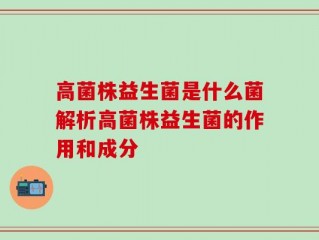 高菌株益生菌是什么菌解析高菌株益生菌的作用和成分