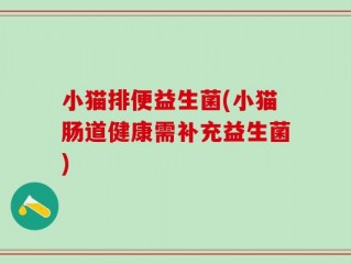 小猫排便益生菌(小猫肠道健康需补充益生菌)