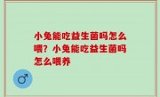 小兔能吃益生菌吗怎么喂？小兔能吃益生菌吗怎么喂养