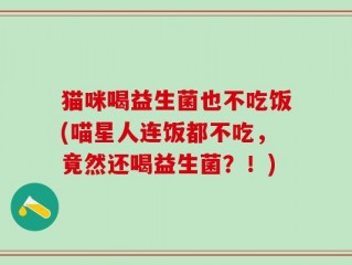 猫咪喝益生菌也不吃饭(喵星人连饭都不吃，竟然还喝益生菌？！)