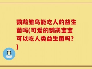 鹦鹉雏鸟能吃人的益生菌吗(可爱的鹦鹉宝宝可以吃人类益生菌吗？)