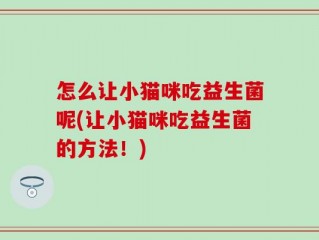 怎么让小猫咪吃益生菌呢(让小猫咪吃益生菌的方法！)