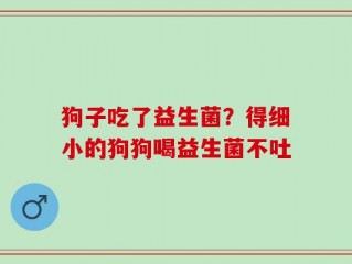 狗子吃了益生菌？得细小的狗狗喝益生菌不吐