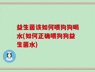 益生菌该如何喂狗狗喝水(如何正确喂狗狗益生菌水)