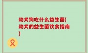 幼犬狗吃什么益生菌(幼犬的益生菌饮食指南)
