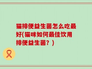 猫排便益生菌怎么吃最好(猫咪如何最佳饮用排便益生菌？)