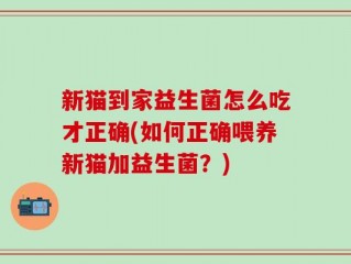 新猫到家益生菌怎么吃才正确(如何正确喂养新猫加益生菌？)
