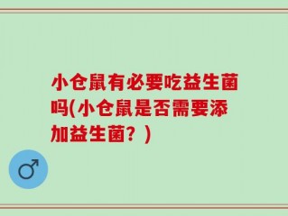 小仓鼠有必要吃益生菌吗(小仓鼠是否需要添加益生菌？)